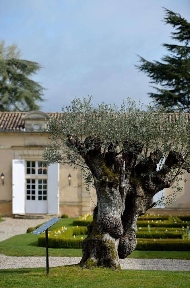 Chateau Fombrauge Saint-Christophe-des-Bardes Εξωτερικό φωτογραφία