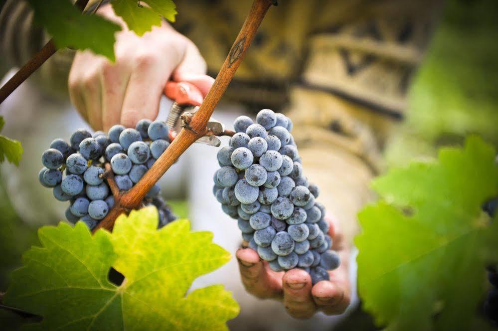 Chateau Fombrauge Saint-Christophe-des-Bardes Εξωτερικό φωτογραφία